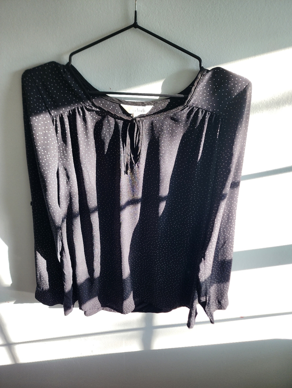 Charming Charlie Black with White Microdot Long-Sleeve Blouse